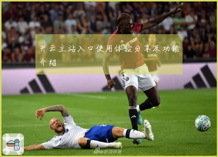 开云主站入口使用体验分享及功能介绍