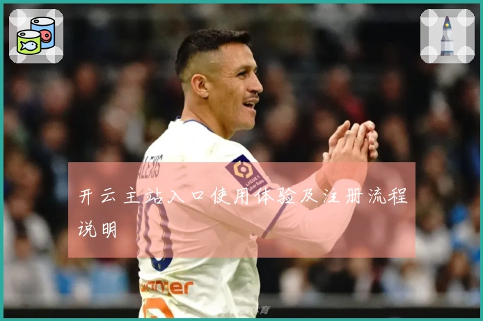 开云主站入口使用体验及注册流程说明