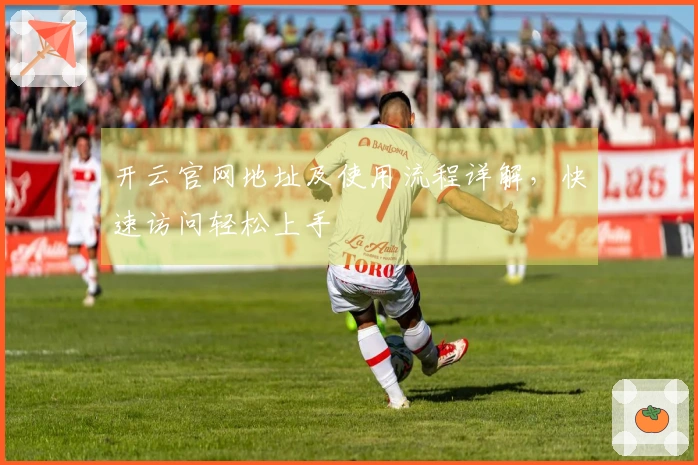 开云官网地址及使用流程详解，快速访问轻松上手